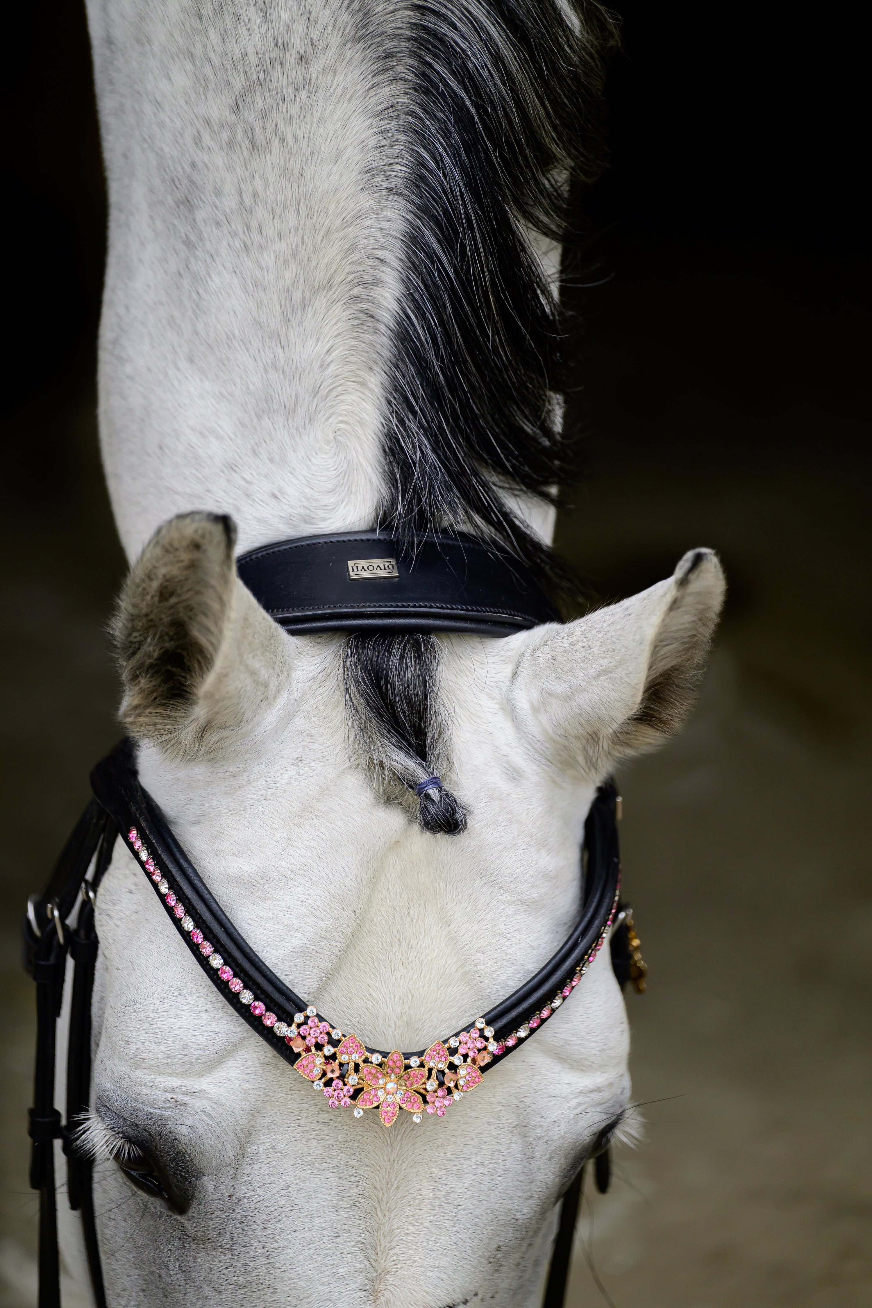 Delary Pink