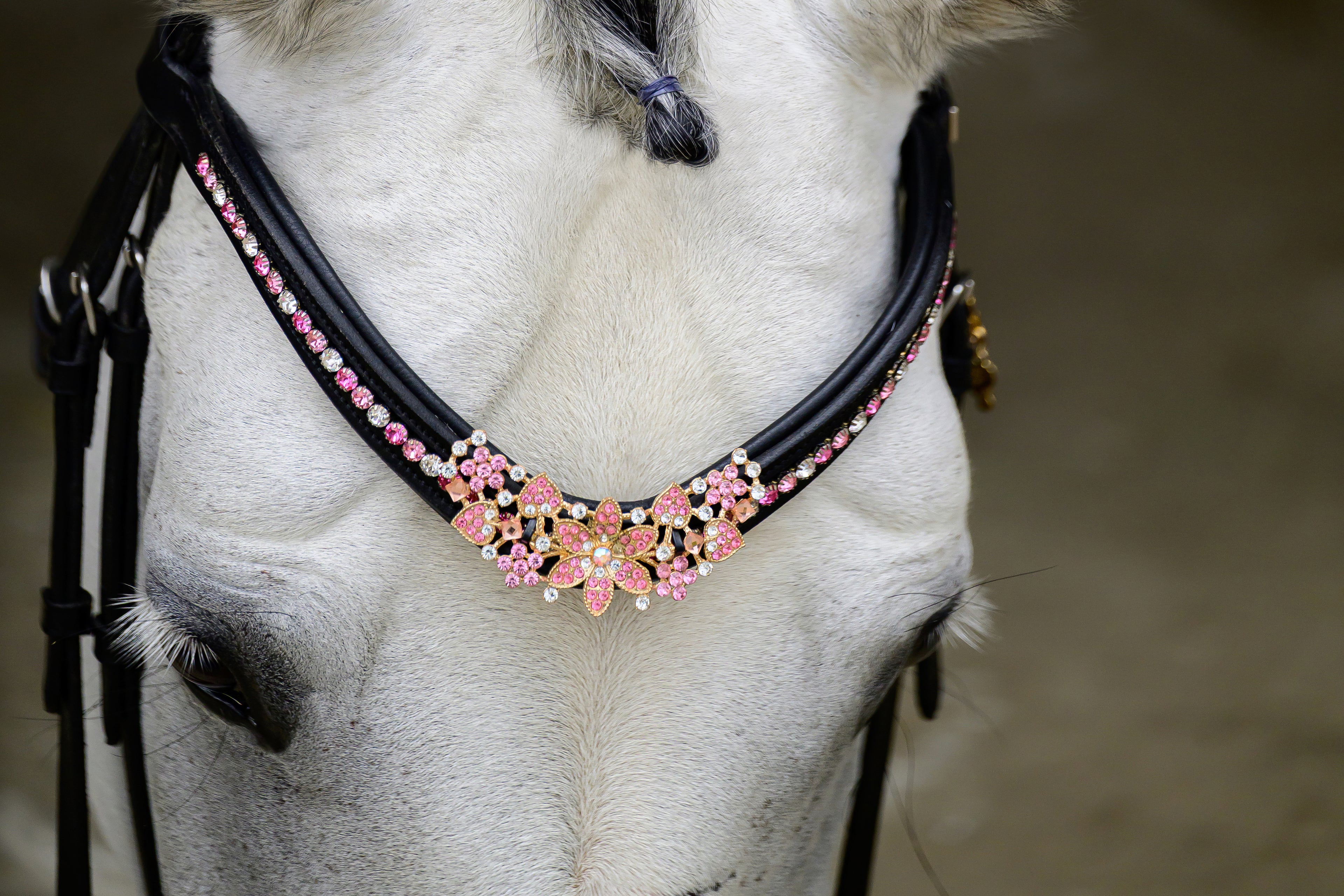 Delary Pink