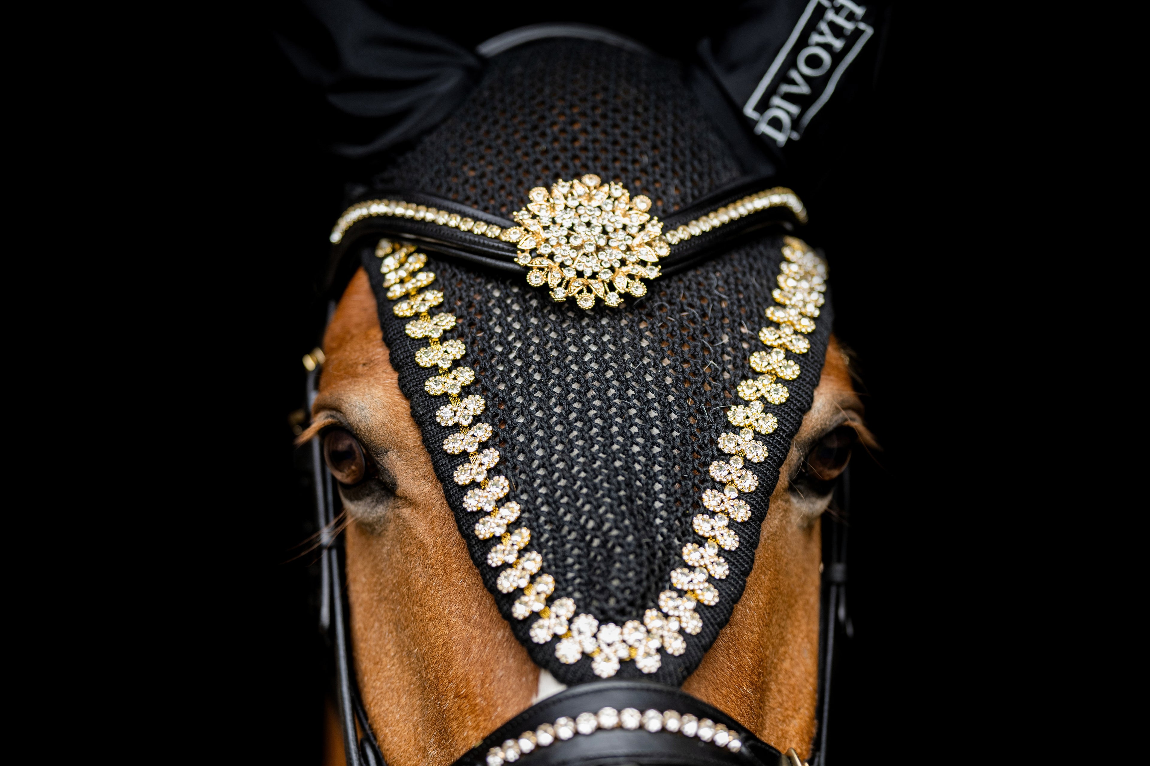 Aspa Gold