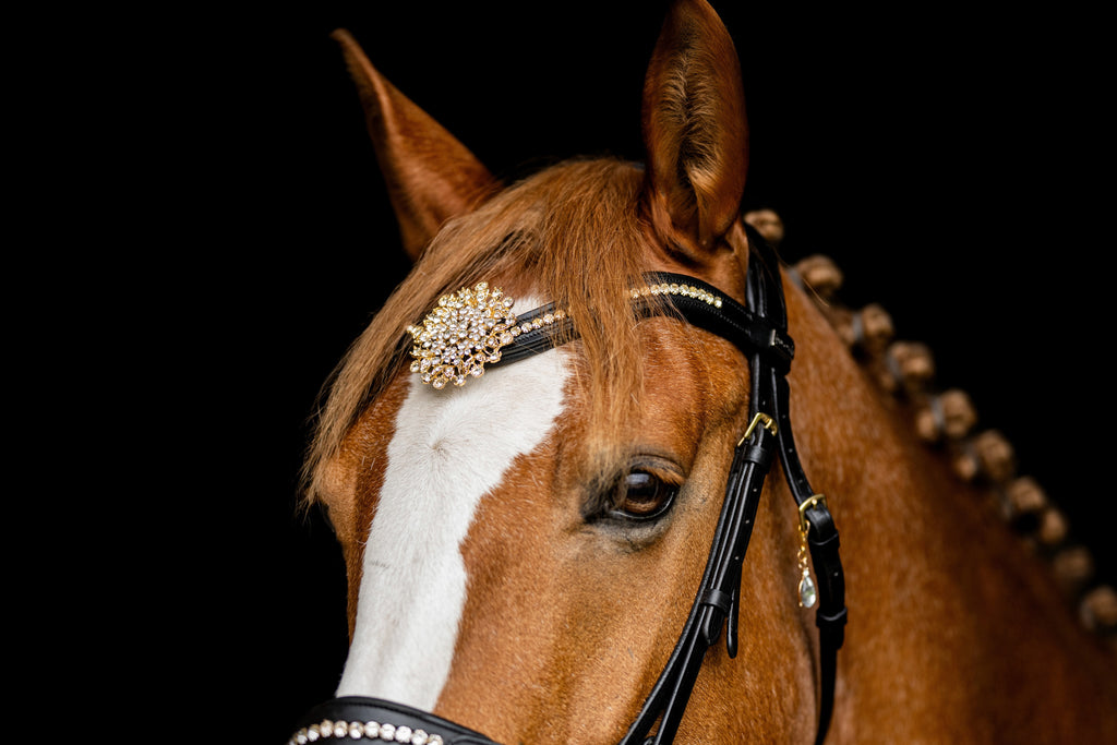 Aspa Gold