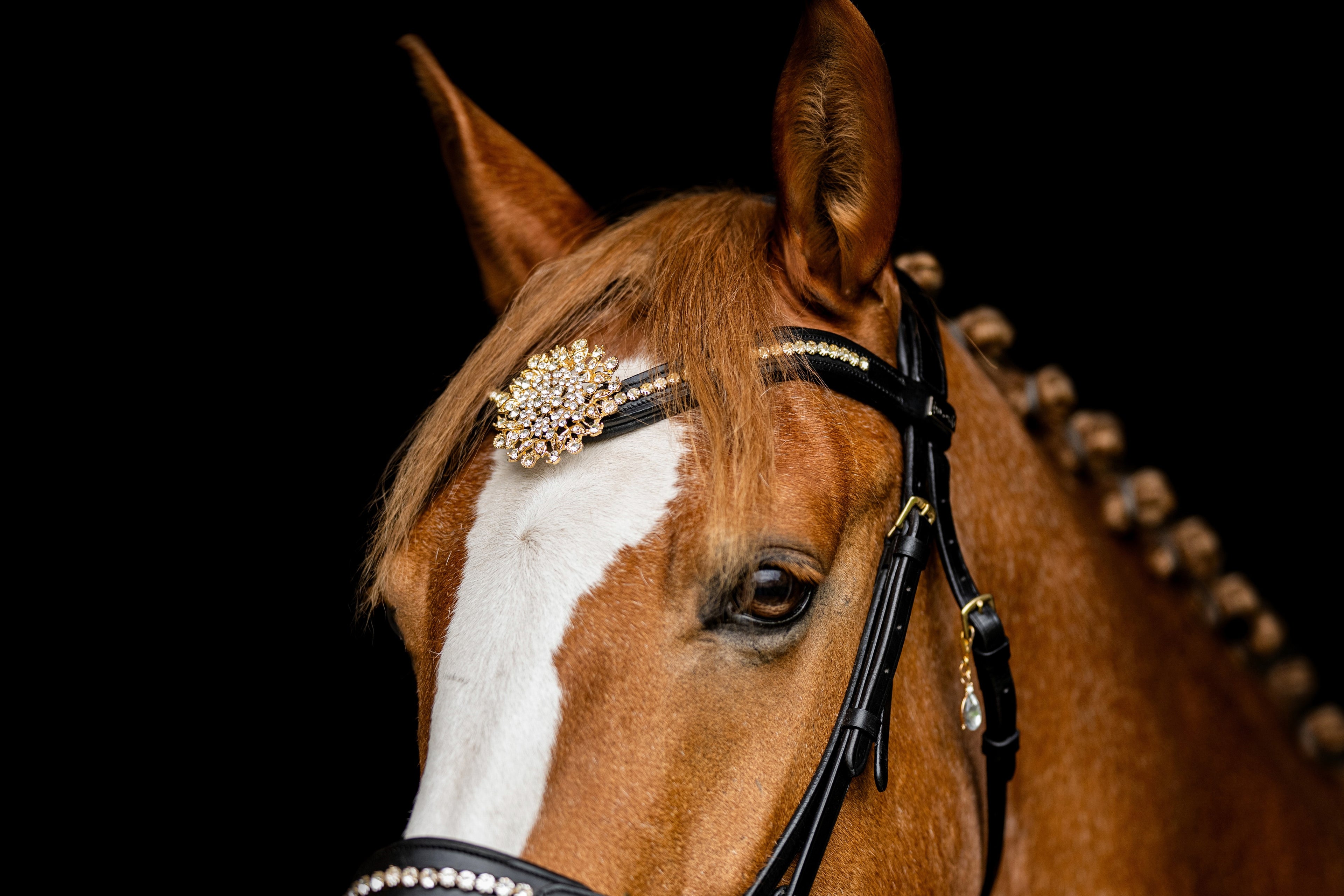 Aspa Gold